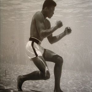 Meet your Posher, Dallas